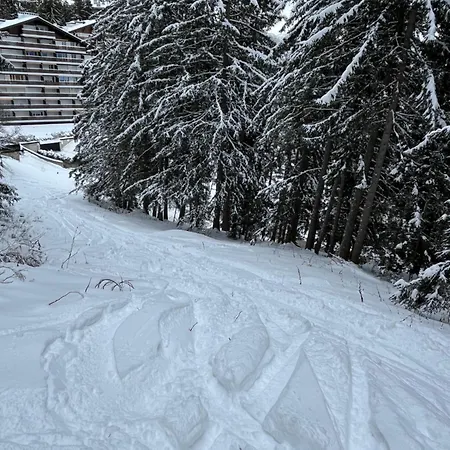 Appartement Bel Centre Montana, Air Frais Vue Alpine Crans-Montana