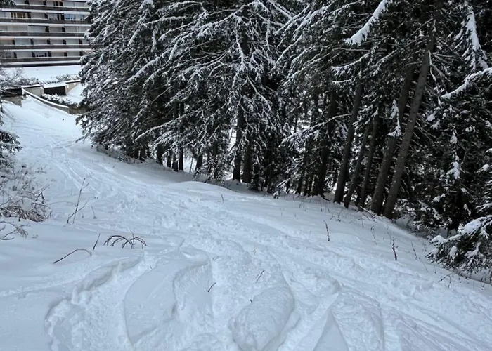 公寓 Bel Centre Montana, 5 Min Des Pistes, Vue Alpine 克莱恩 蒙塔纳